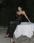 ROVENTE Sheer Velvet Maxi Dress - PINKPARKS