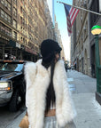 WARDEN EDGE Ivory Fox Fur Shawl Collar Vest