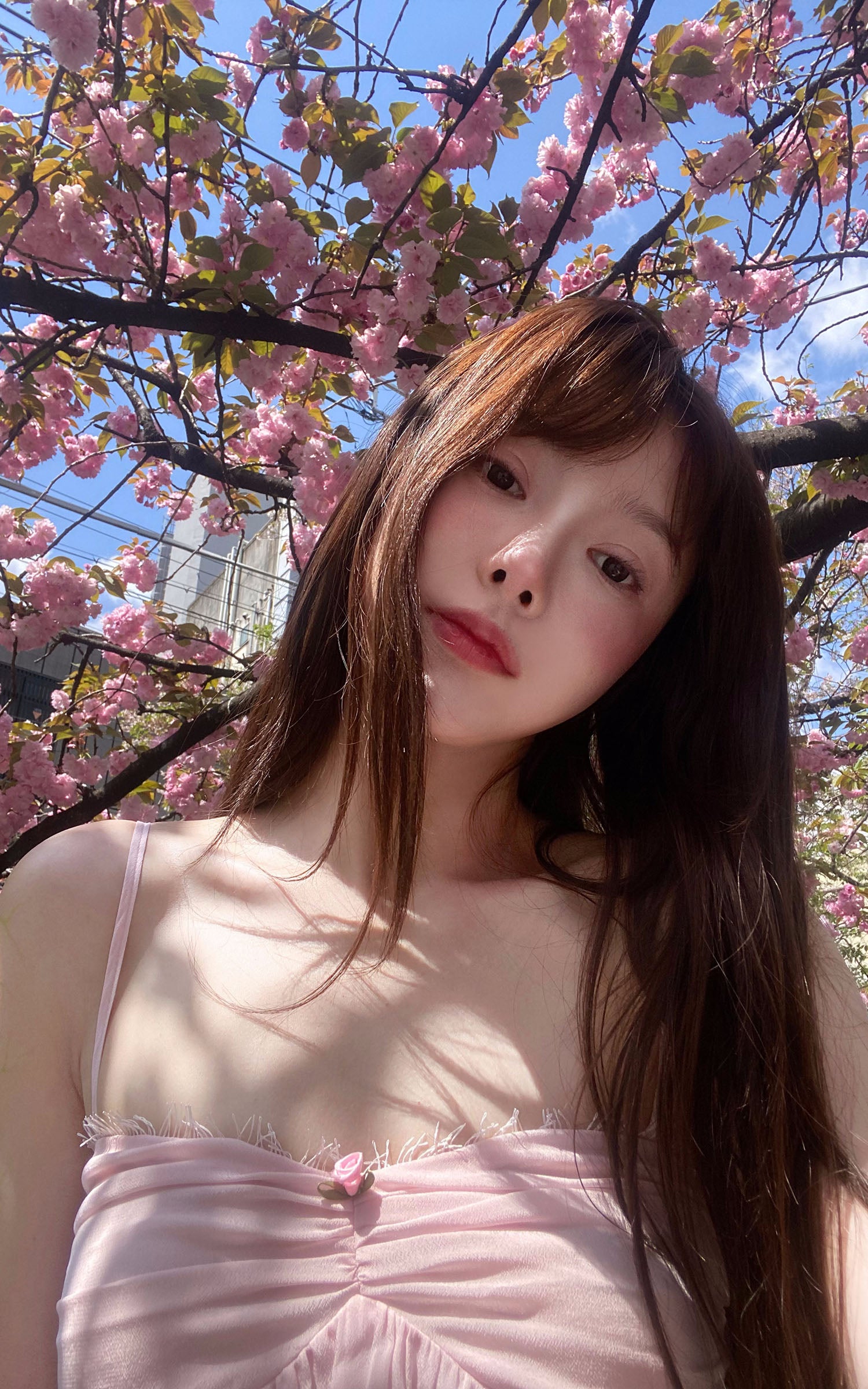 DreamyNerd Rosebud Chiffon Camisole - PINKPARKS