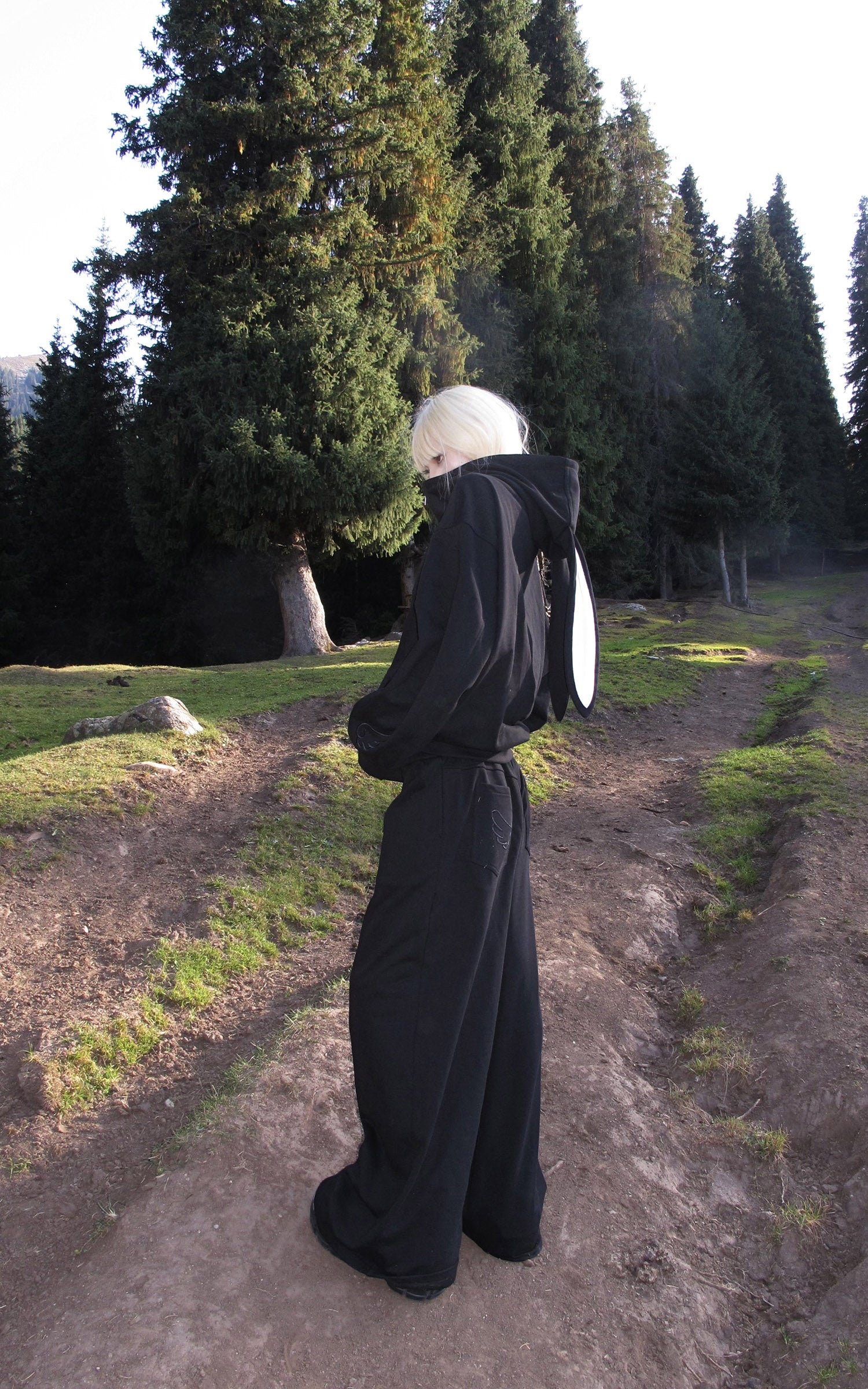 Rase le sol Bunny Ear Hoodie and Wide-Leg Sweatpants Set