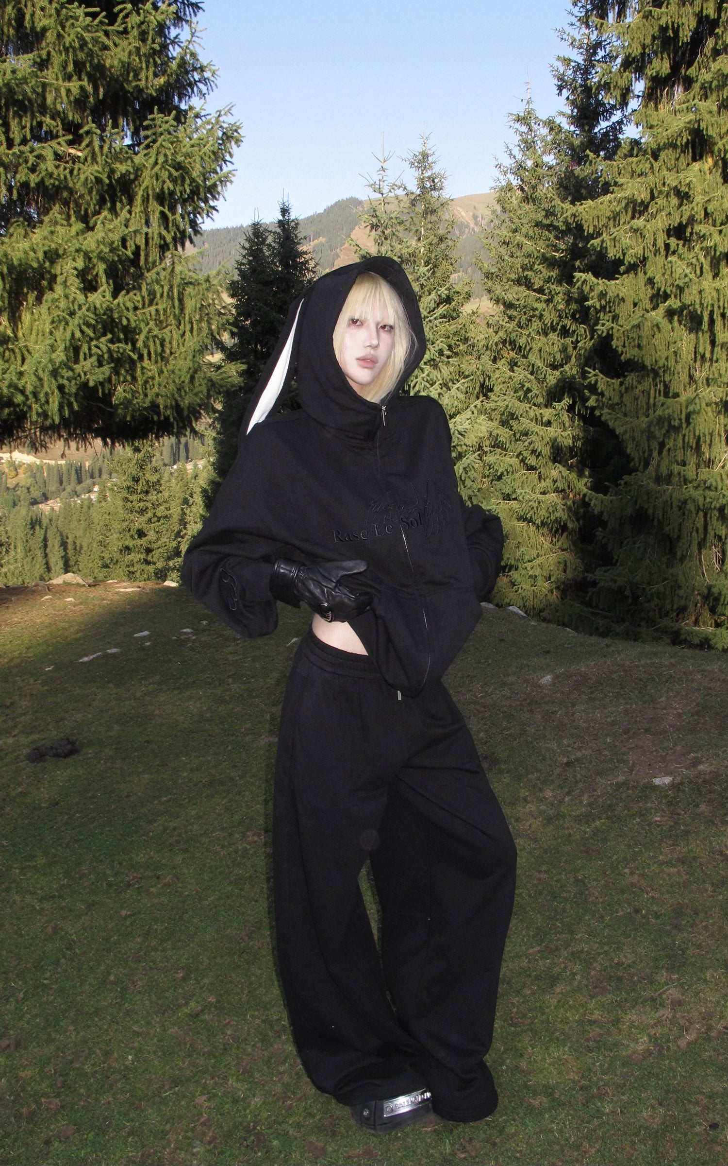 Rase le sol Bunny Ear Hoodie and Wide-Leg Sweatpants Set