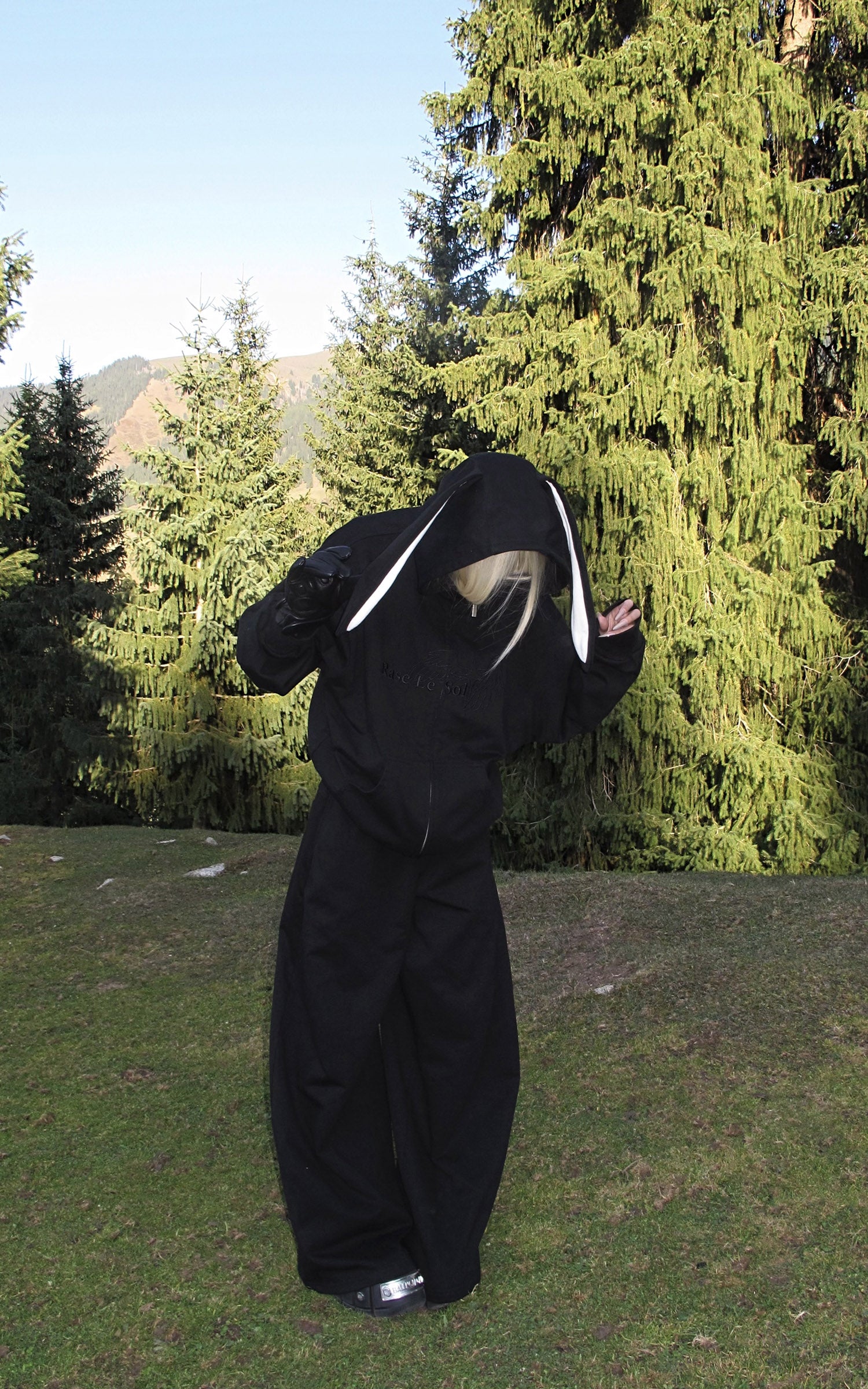 Rase le sol Bunny Ear Hoodie and Wide-Leg Sweatpants Set