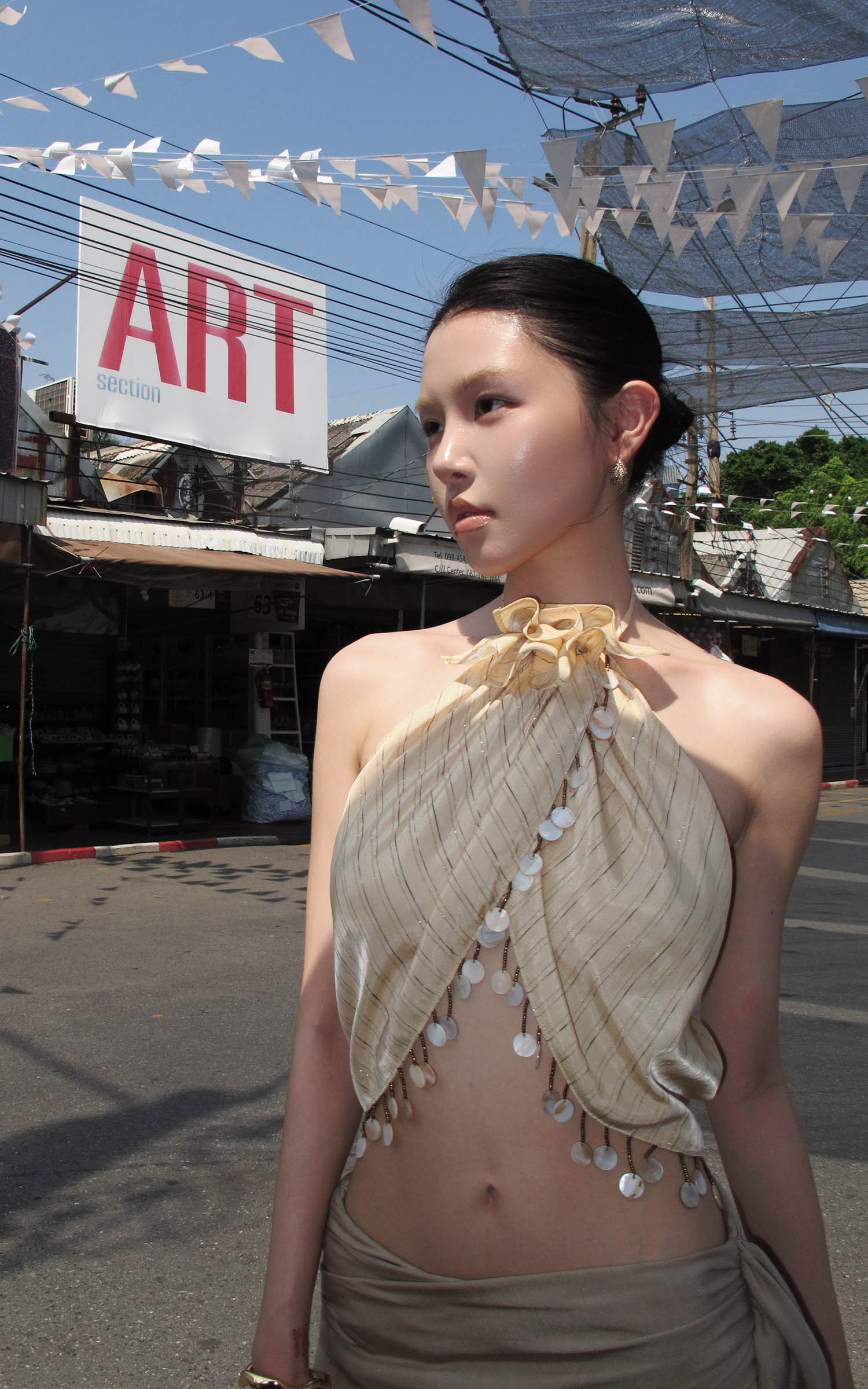 Hydrae Sheer  Draped Shell Tassel Backless Halter Top