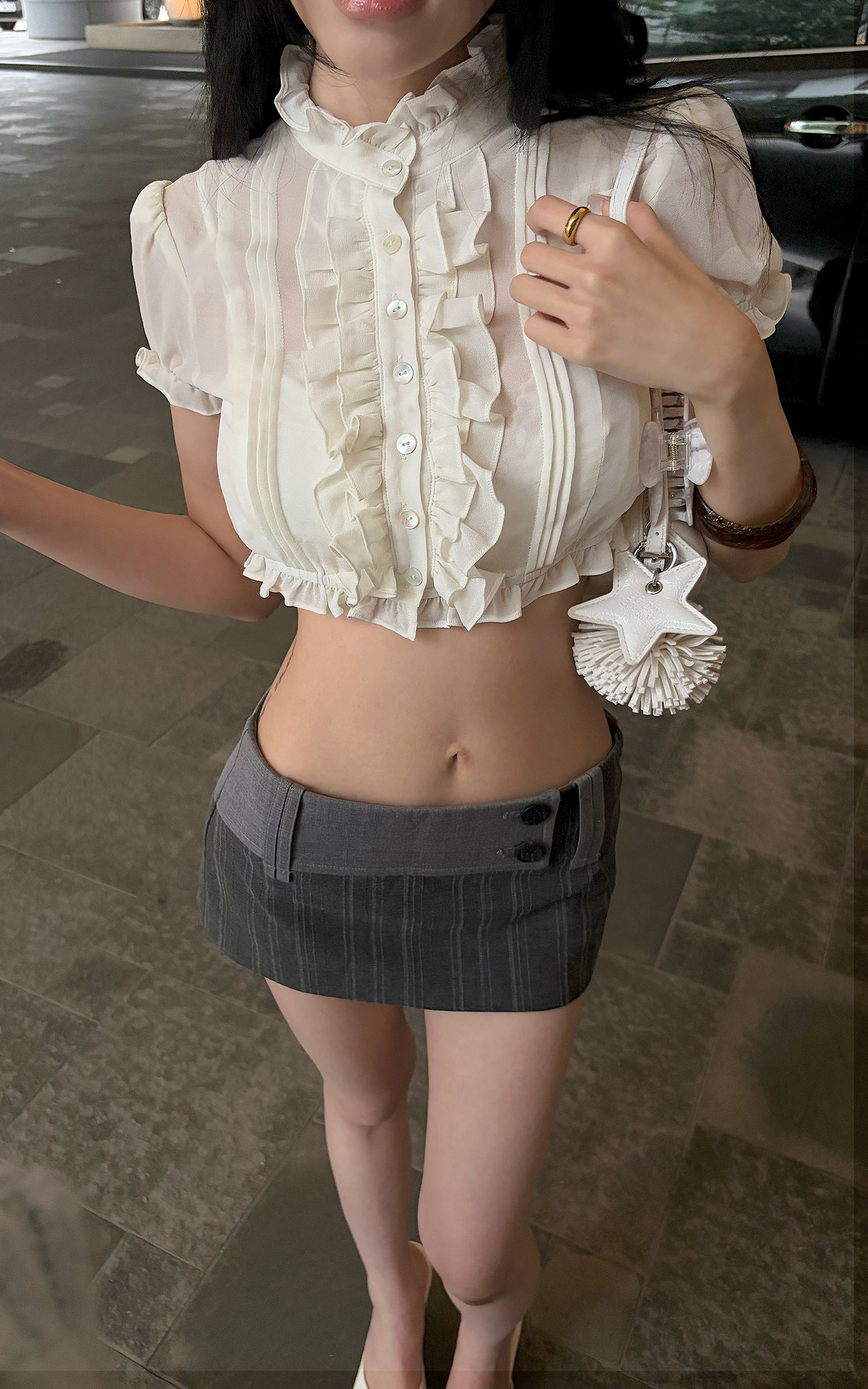 Hydrae Sheer Ruffle Pintuck Cropped Blouse Top