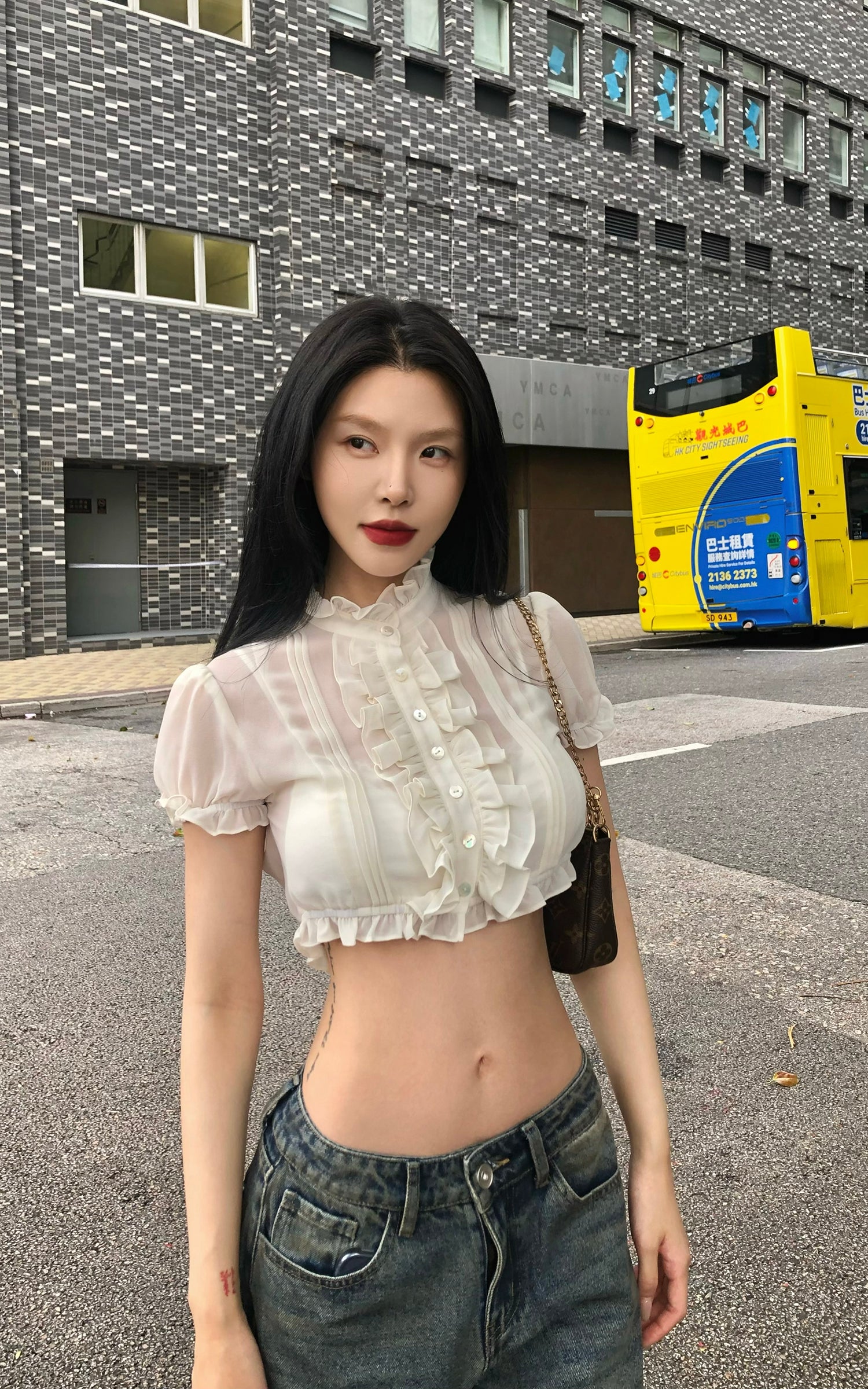 Hydrae Sheer Ruffle Pintuck Cropped Blouse Top