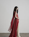 DOINDULGE V-Neck Sheer Layered Maxi Dress