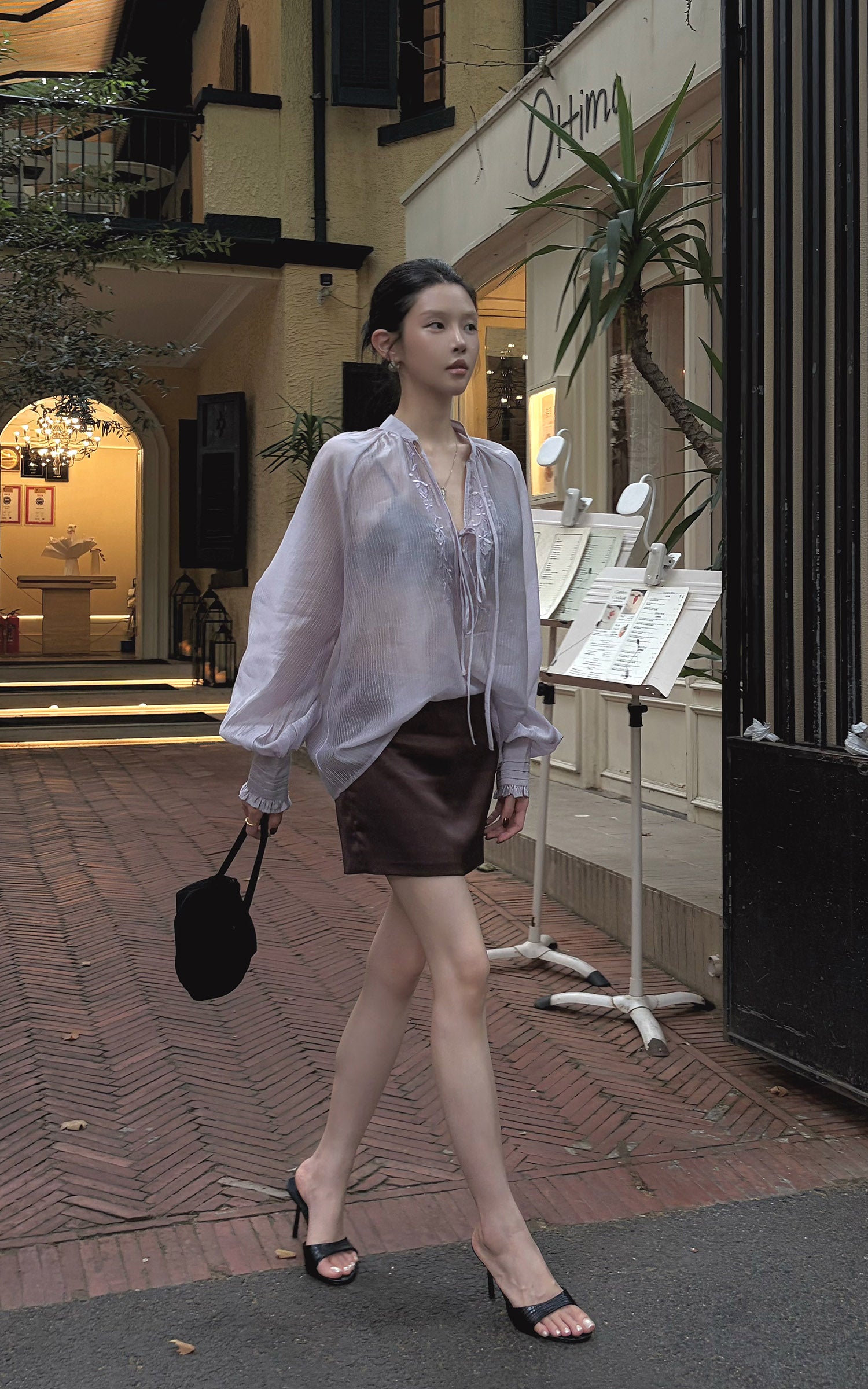 Hydrae Sheer Embroidered Tie-Front Blouse with Voluminous Sleeves