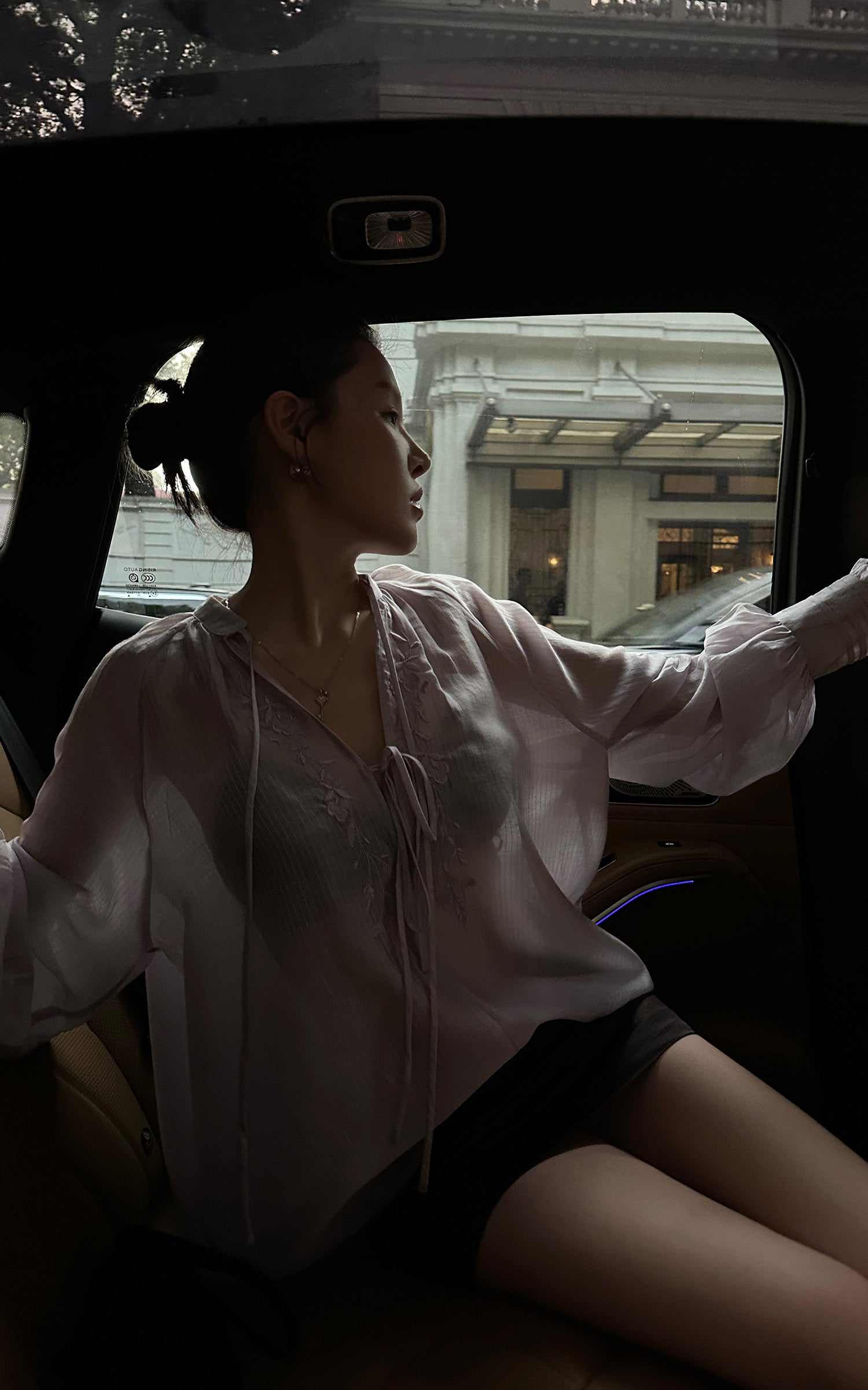 Hydrae Sheer Embroidered Tie-Front Blouse with Voluminous Sleeves