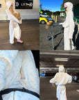 Rase le sol Crinkled Hooded Zip-Up & Wide-Leg Pants Set