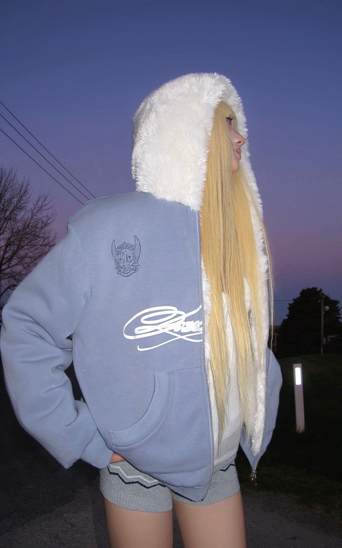 Rase le sol Reversible Faux Fur Hooded Zip Jacket