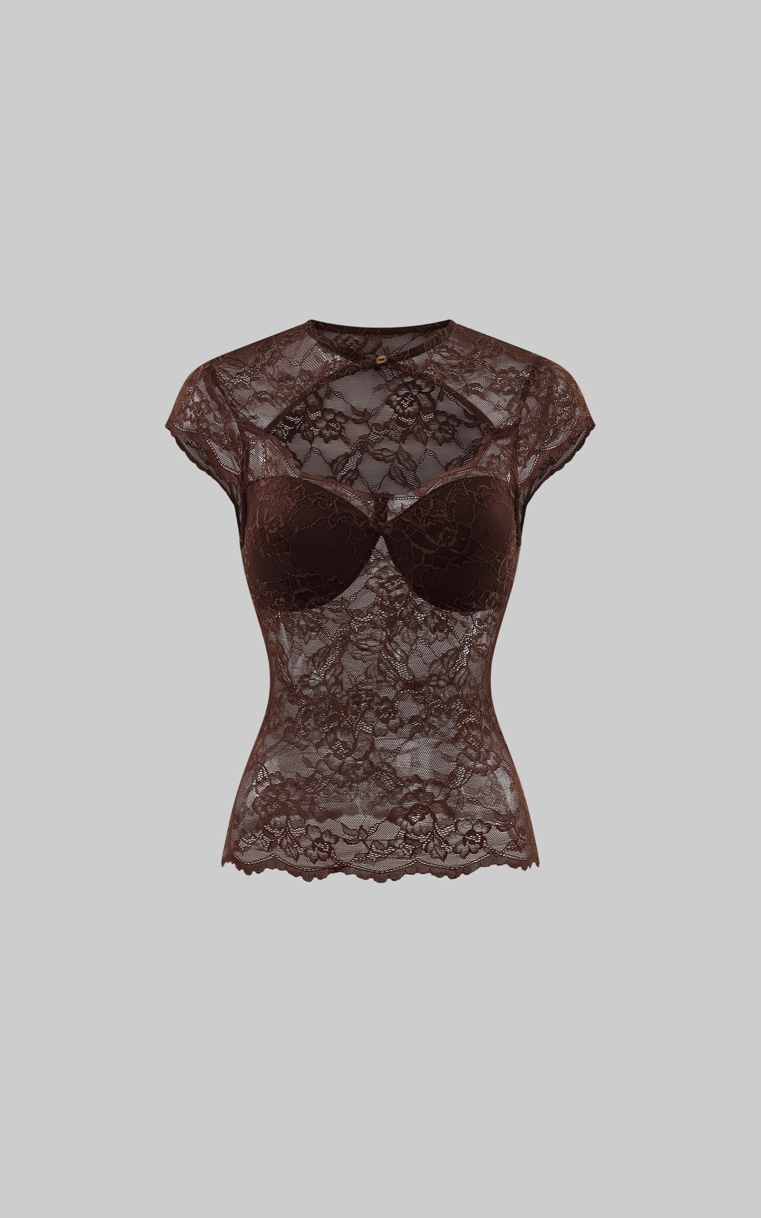 Hydrae Sculpted Lace Cutout Cap Sleeve Corset Top with Sheer Floral Paneling