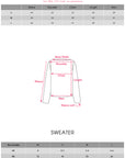 IAMXIAA Knit Cropped V Neck Sweater